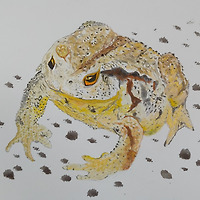 작가 프로필 이미지