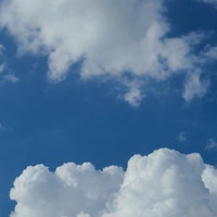 작가 프로필 이미지