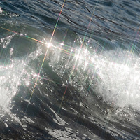 작가 프로필 이미지