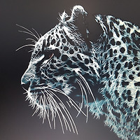 작가 프로필 이미지