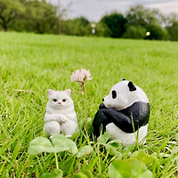 김이람 작가 이미지