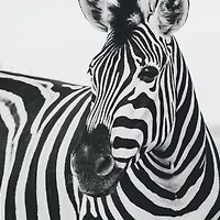 작가 프로필 이미지