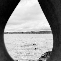 작가 프로필 이미지