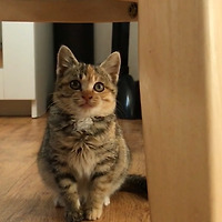 작가 프로필 이미지