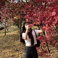 멤버십 가입 혜택 작가 프로필