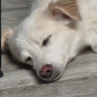 작가 프로필 이미지