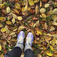 작가 프로필 이미지