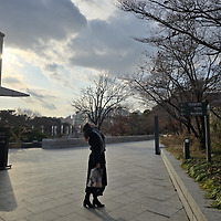 카지노 게임 사이트