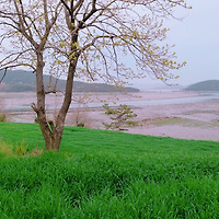 작가 프로필 이미지