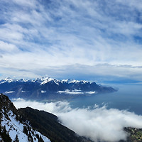 작가 프로필 이미지