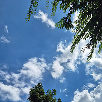 작가 프로필 이미지