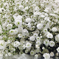 작가 프로필 이미지