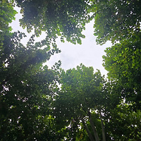 멤버십 가입 혜택 작가 프로필