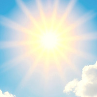 멤버십 가입 혜택 작가 프로필