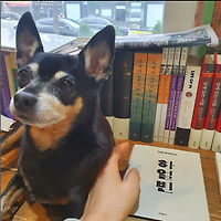 작가 프로필 이미지