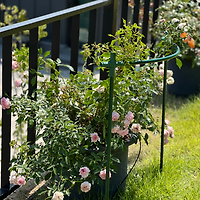 작가 프로필 이미지