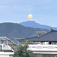 작가 프로필 이미지