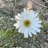 작가 프로필 이미지