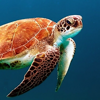 작가 프로필 이미지