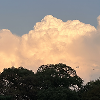 작가 프로필 이미지