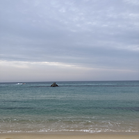 작가 프로필 이미지