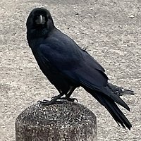 멤버십 가입 혜택 작가 프로필