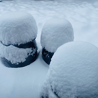 작가 프로필 이미지