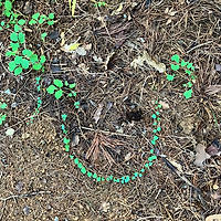 작가 프로필 이미지