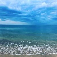 작가 프로필 이미지