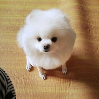 작가 프로필 이미지