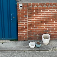 작가 프로필 이미지