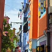 작가 프로필 이미지