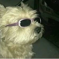 작가 프로필 이미지