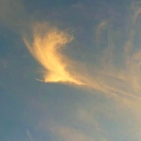 작가 프로필 이미지