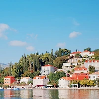 작가 프로필 이미지