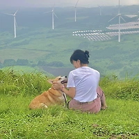 작가 프로필 이미지