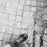 멤버십 가입 혜택 작가 프로필