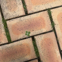 작가 프로필 이미지