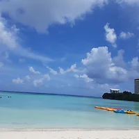 작가 프로필 이미지