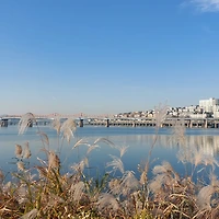 작가 프로필 이미지