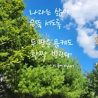 작가 프로필 이미지