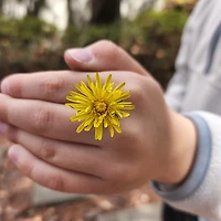 멤버십 가입 혜택 작가 프로필