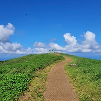 작가 프로필 이미지