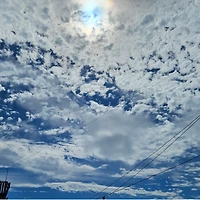 작가 프로필 이미지