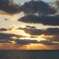 작가 프로필 이미지