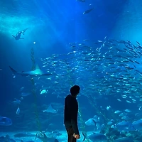 작가 프로필 이미지