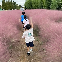 작가 프로필 이미지