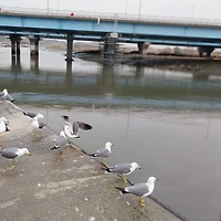 작가 프로필 이미지