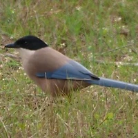 작가 프로필 이미지