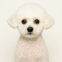 작가 프로필 이미지